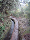 Levada-do-Alecrim.jpg