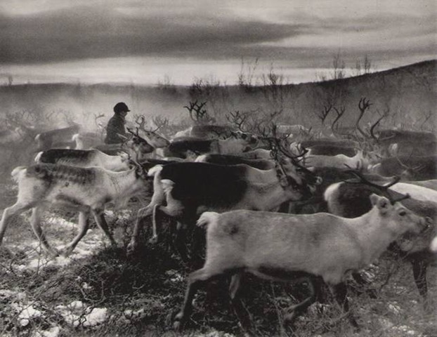 [clip_image0123.jpg]