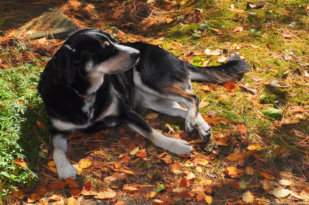 [DSC_0018%255B4%255D.jpg]