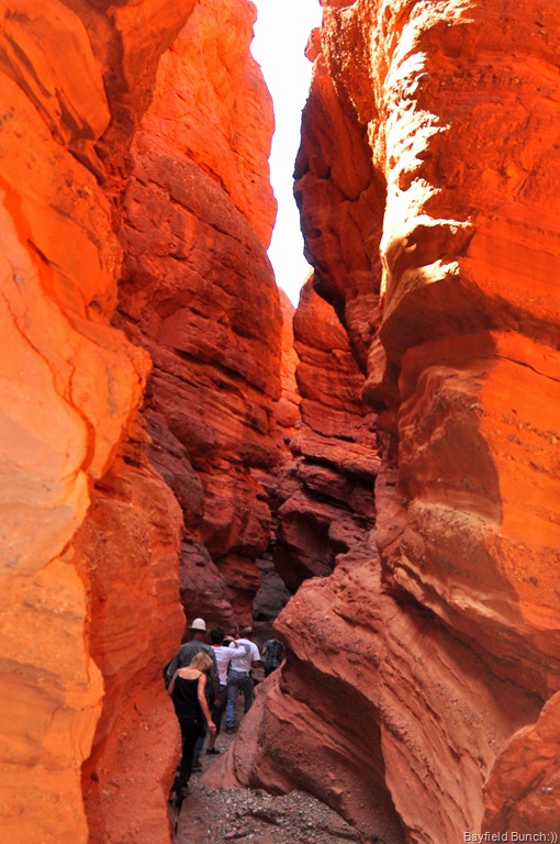 [DSC_0112%255B1%255D.jpg]