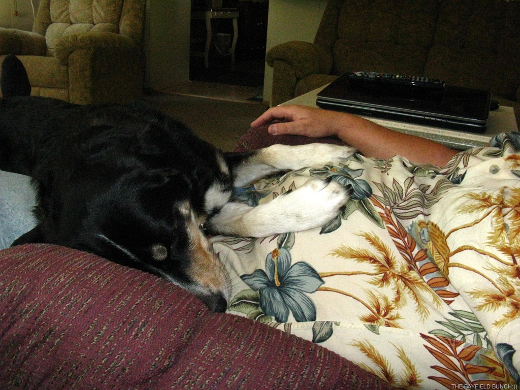 [IMG_3242%255B3%255D.jpg]