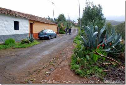 7361 La Laguna-Barranco Laurel(Los Tiles) 7361 La Laguna-Barranco Laurel(Los Tiles)
