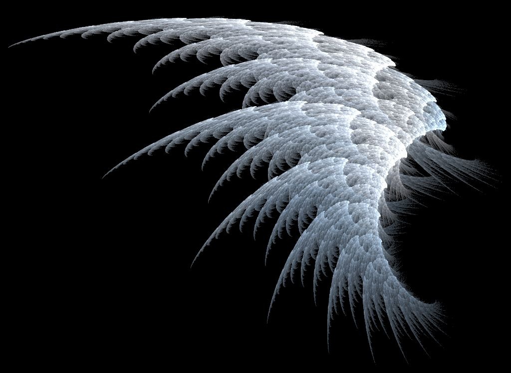 [White-Angel-Wings4.jpg]