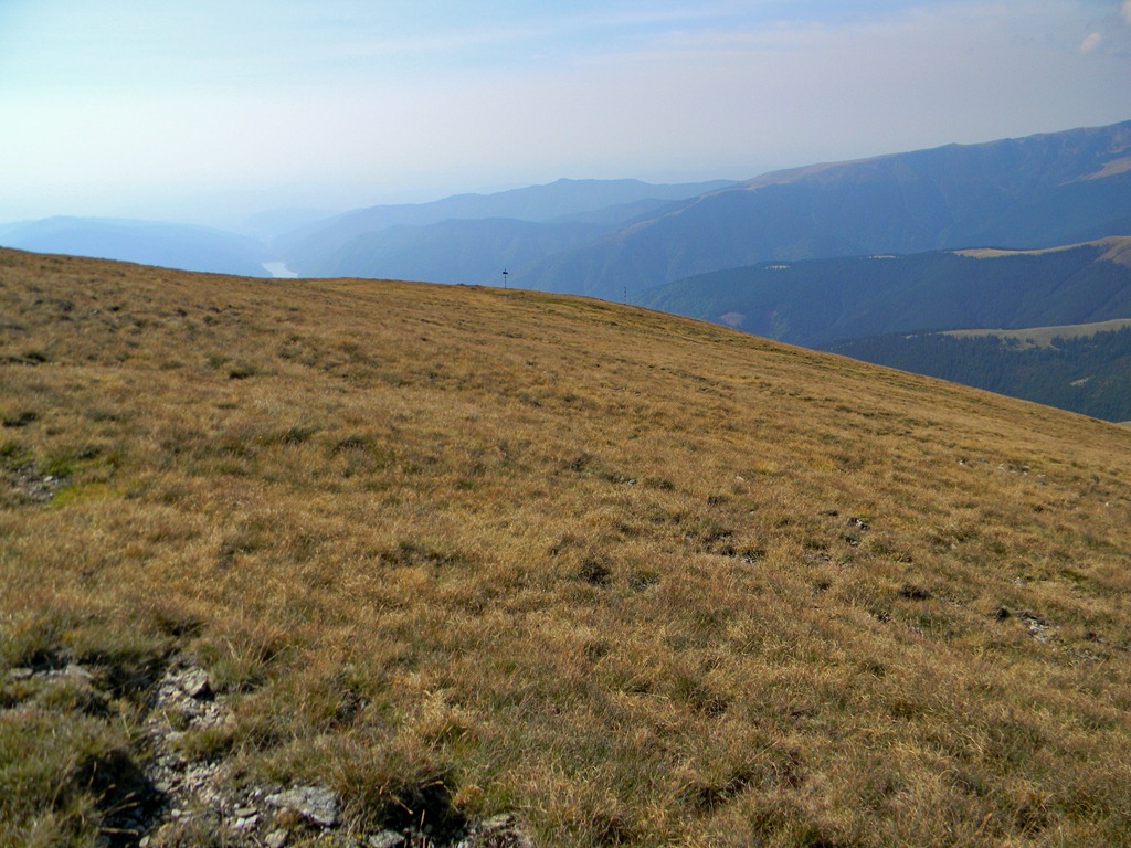 [DSCN60143.jpg]