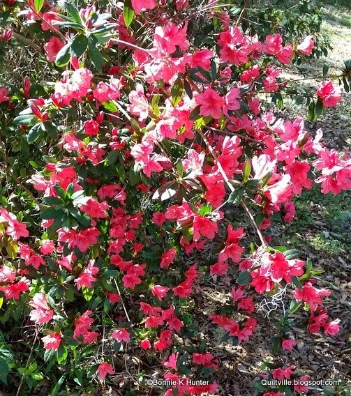 [20150308_161819%255B3%255D.jpg]