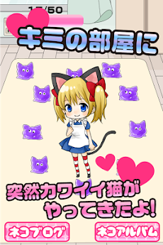 猫耳があるんだから猫じゃないはずがない 萌え猫のいる生活 Androidアプリ Applion