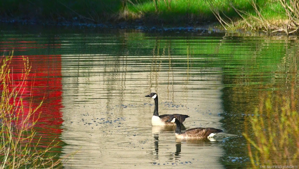 [DSC_0002%255B9%255D.jpg]