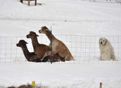 [clip_image008%255B6%255D.jpg]