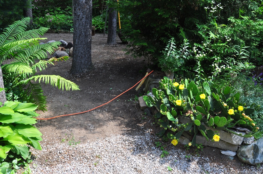 [DSC_0001%255B4%255D.jpg]