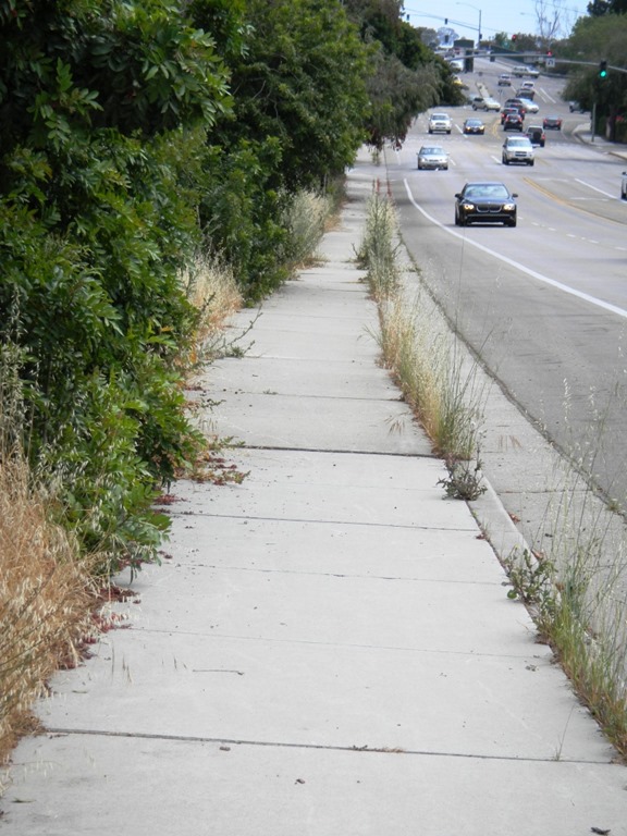 [DSCN4111%2520-%2520Kopie%255B4%255D.jpg]