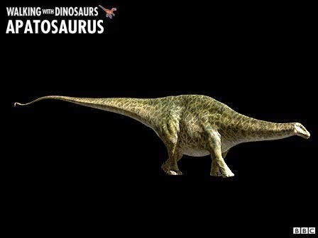 [Apatosaurus5.jpg]