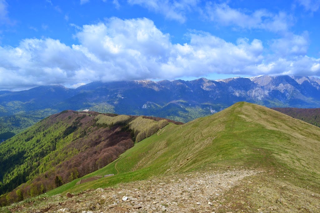 [DSC_93553.jpg]