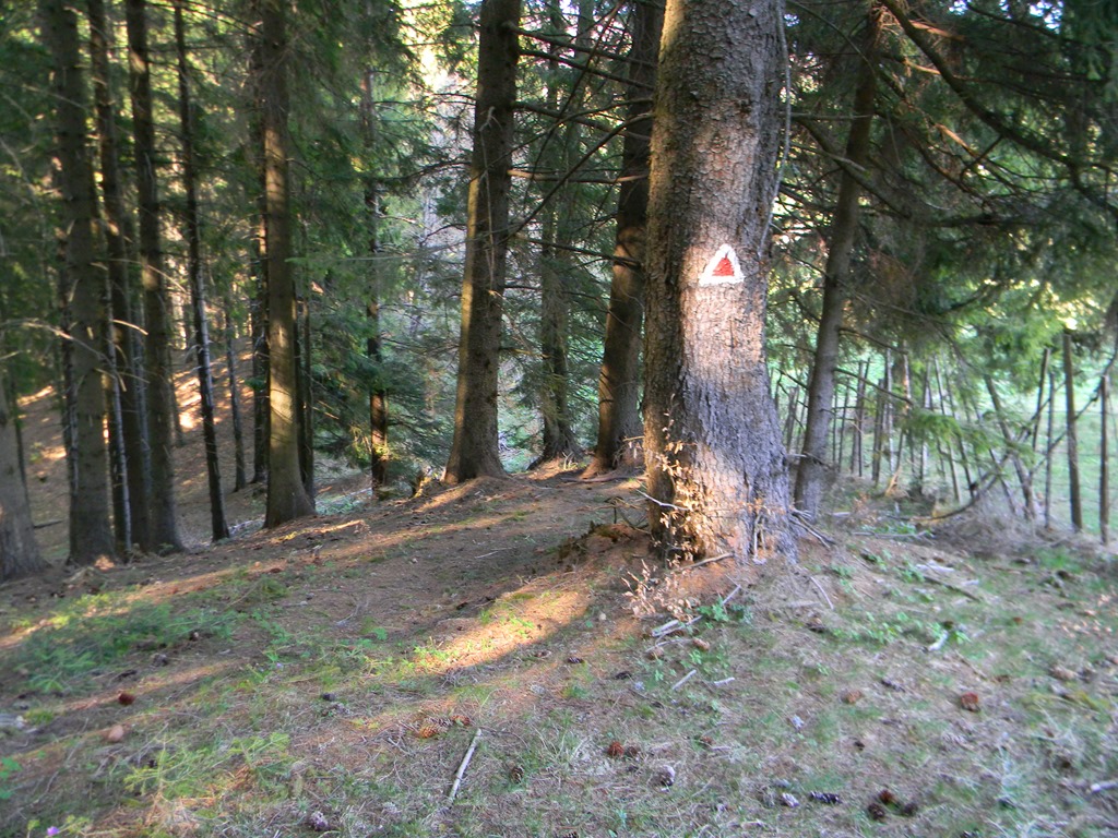 [DSCN80623.jpg]