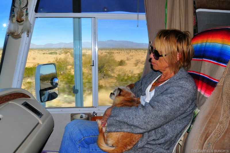 [DSC_0011%255B3%255D.jpg]