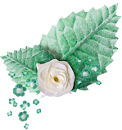 flor%252027.png