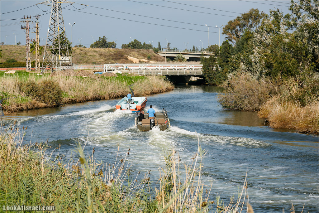 LookAtIsrael.com - Восстановление реки Кишон | Recovering Kishon river | שיחזור נחל קישון