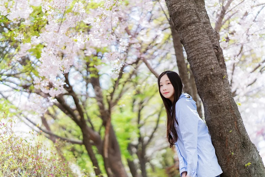 Bambi (밤비) Lacerta Photography