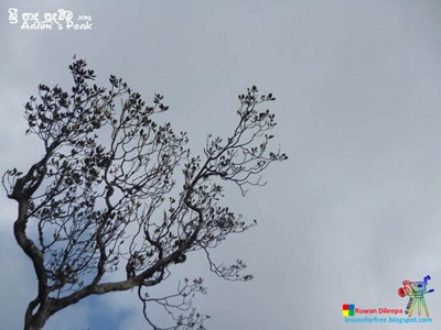 Adams-Peak-2014-by-Ruwan-Dileepa--le%25255B51%25255D.jpg