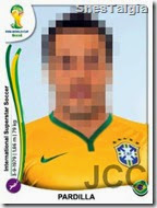 pardilla-futebol-brasil