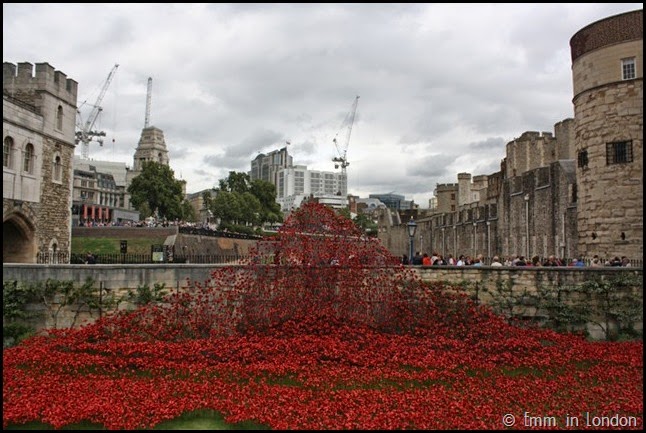 Ceramic poppies cascading into the Tower of London