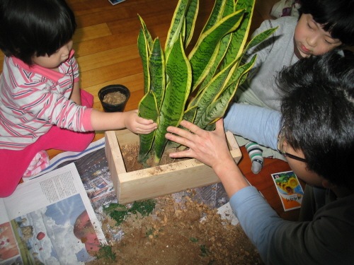[Gallery3949_7%255B9%255D.jpg]