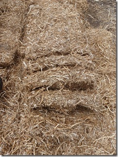 Straw bales break apart naturally along the length of the bale into 'straw bricks' about 10 cms in width.