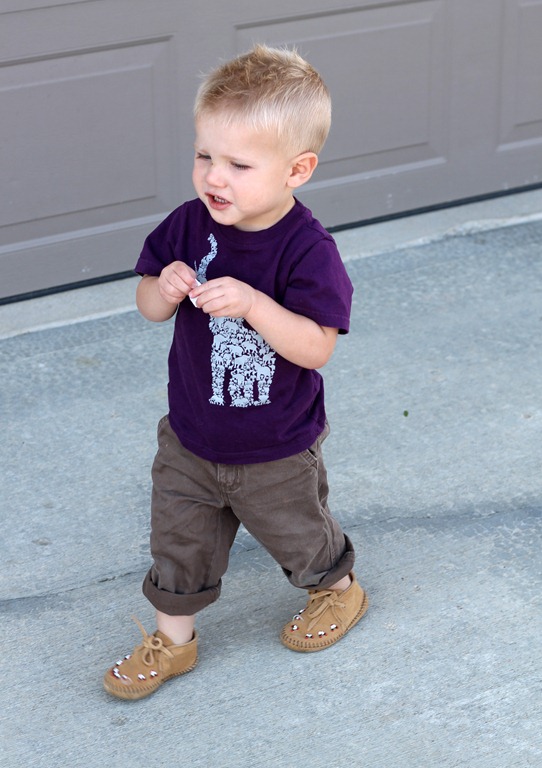 [IMG_6238b1%255B1%255D.jpg]