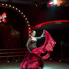 IMG_7276.jpg