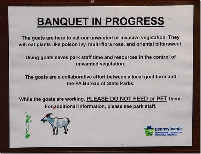 Gifford Pinchot Goat Sign