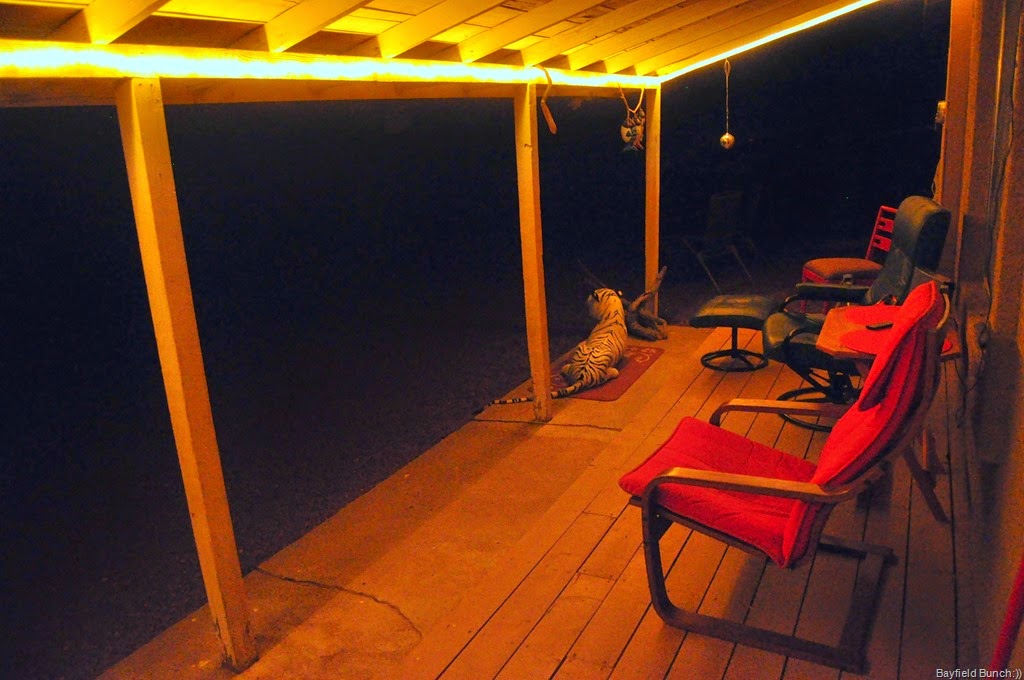 [DSC_0001-005%255B3%255D.jpg]