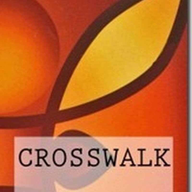 Orangeberry Book of the Day - Crosswalk - Cara St. Louis