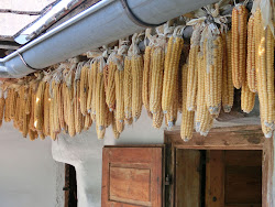 Burgenland 2012 - 036