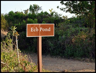 01 - Early Morning Eco Pond Sign