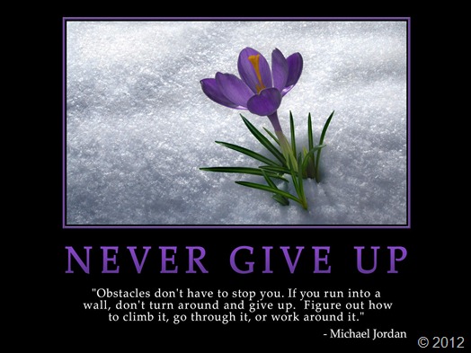 jangan menyerah. Hadapi rintangan yang ada. Semakin susah rintangan yang anda hadapi, maka semakin besar pula keberhasilan yang anda dapat. Never give up!