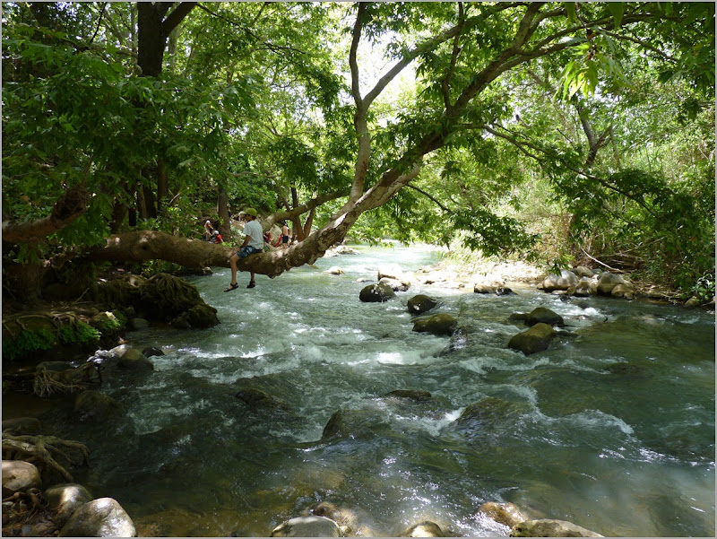 Hiking Snir River in Golan Hieghts