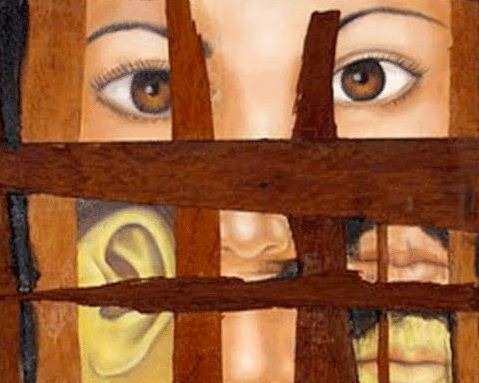 [diversitatfuncional%255B3%255D.jpg]