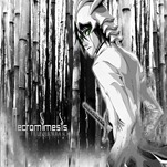 Bleach 26