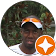 Rod Simmons