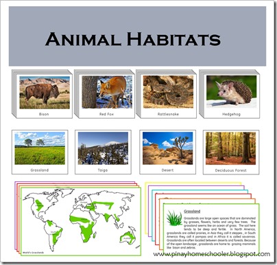 Animal Habitats Cards