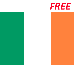 Irish English Translator Varies with device