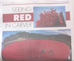 cranberry seeing red in carver newspaper. 9.21.2012