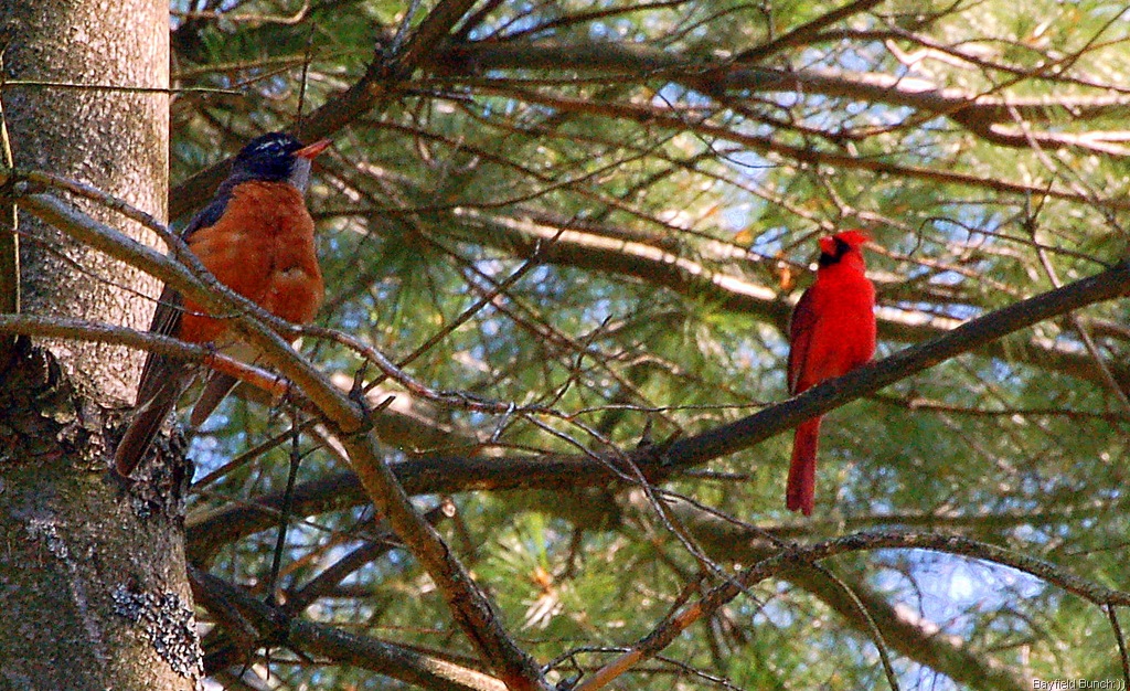 [DSC_0010-1%255B3%255D.jpg]