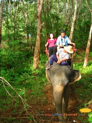 [Phuket-Rida-Elephant-223.jpg]