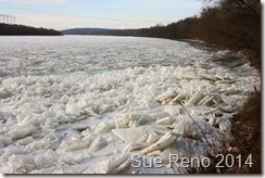 Ice on the Susquehanna River, 2/2014, by Sue Reno, Image 14