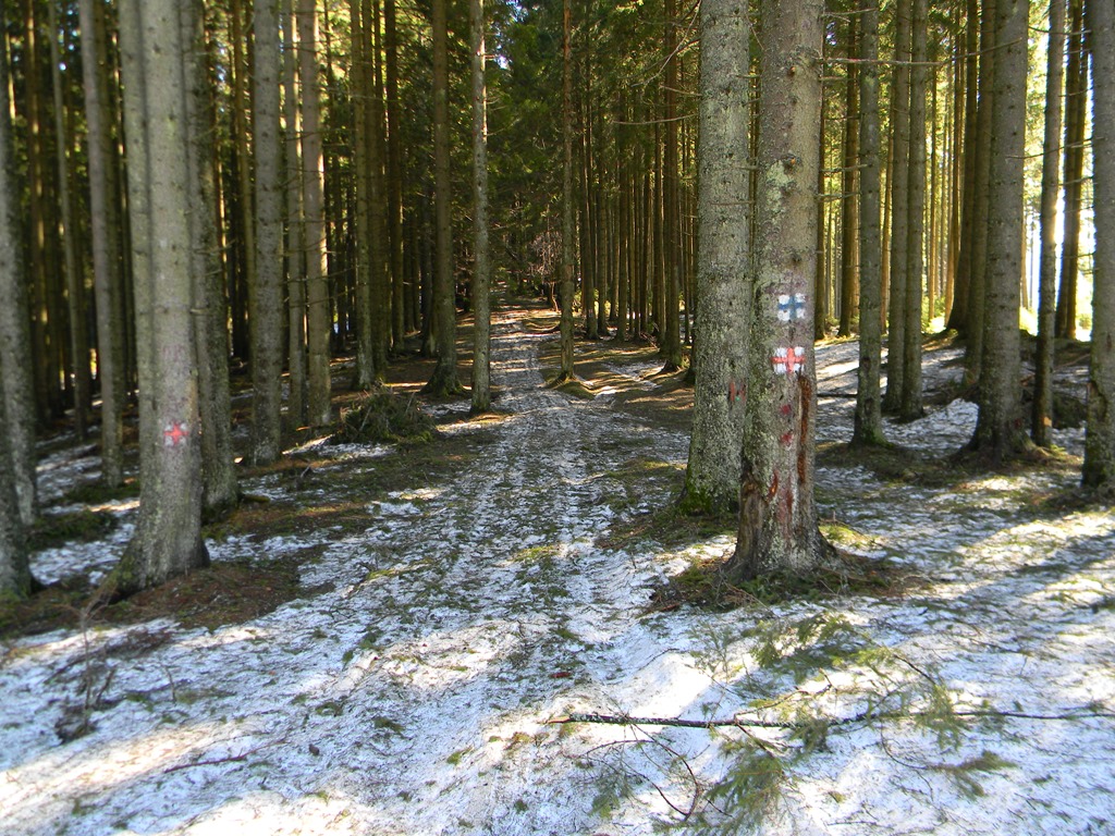 [DSCN67553.jpg]