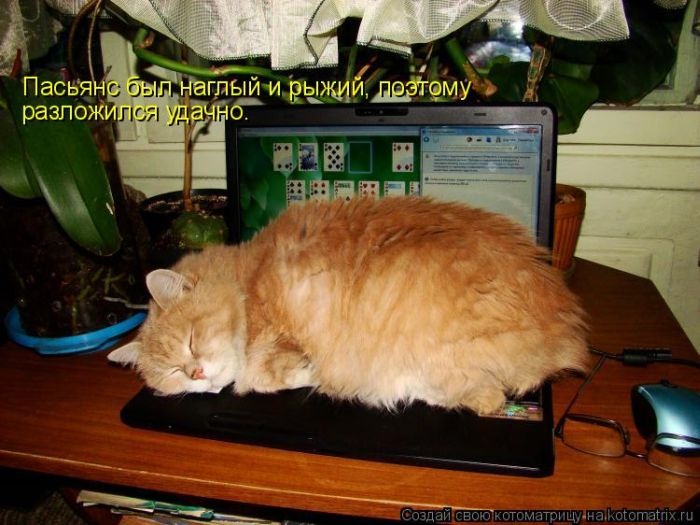 [clip_image038%255B3%255D.jpg]