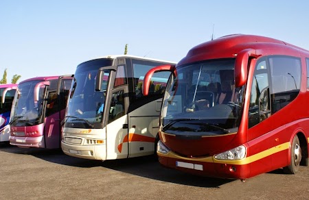 Autobuze in Europa.jpg