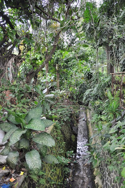 DSC_0359.jpg