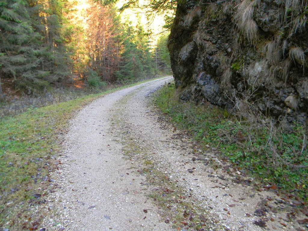 [DSCN83423.jpg]