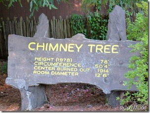 Oct 23, 2012: Chimney Tree info